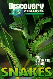 The Ultimate Guide: Snakes 1997 吹き替え 動画 フル