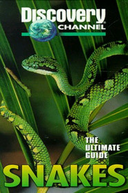 The Ultimate Guide: Snakes