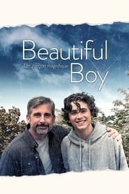 Film streaming | Voir My Beautiful Boy en streaming | HD-serie