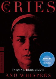 Ingmar Bergman: Reflections on Life, Death, and Love with Erland Josephson