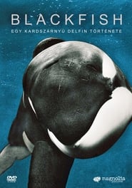 Blackfish – Egy kardszárnyú delfin története