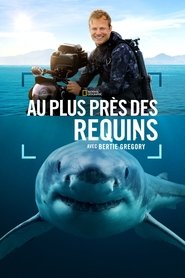 Sharks Up Close with Bertie Gregory
