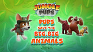Jungle Pups: Pups Save the Big, Big Animals