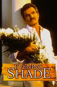 Evening Shade poster
