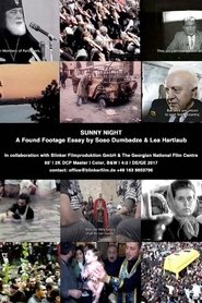 Sunny Night (2017)