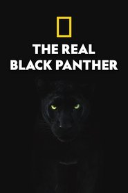 The Real Black Panther (2020)