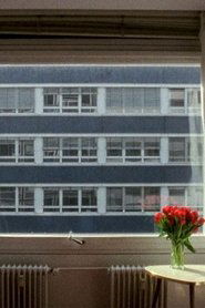 Poster 21.3 °C 2014