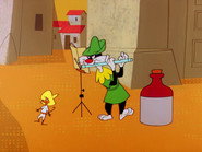 The Pied Piper of Guadalupe