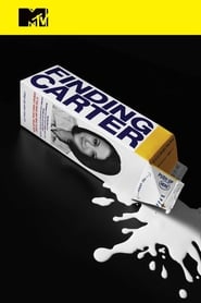 Finding Carter постер