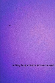 a tiny bug crawls across a wall (2024)