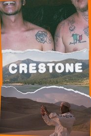Poster Crestone 2020