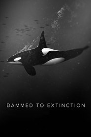 Poster Dammed to Extinction 2019