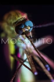 Assistir Mosquito online