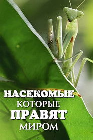 Bugs That Rule the World