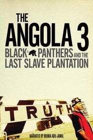 The Angola 3: Black Panthers and the Last Slave Plantation (2008)