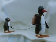 Pingu the Mountaineer