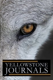 Yellowstone Journals постер