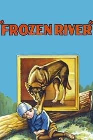 Poster Frozen River