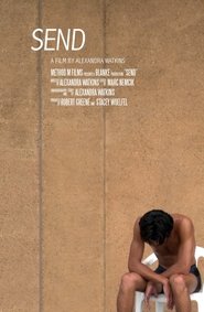 Poster SEND 2017