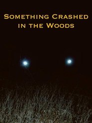 Something Crashed in the Woods (2019)