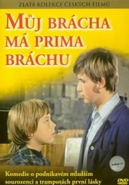 Můj brácha má prima bráchu plakat