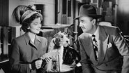 Song of the Thin Man