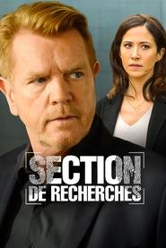 Section de recherches serie en streaming 