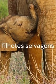 Image Filhotes Selvagens