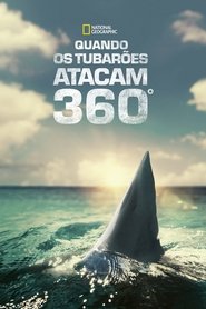 When Sharks Attack 360