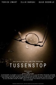Tussenstop (2011)