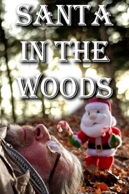 Santa in the Woods Santa in the Woods