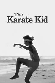 El Karate Kid (1984) HD 1080p Latino [MultiDoblaje]