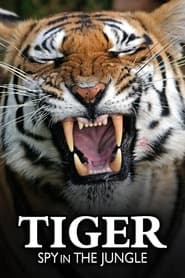 Tiger: Spy In The Jungle Episode Rating Graph poster