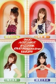 Poster Morning Musume. DVD Magazine Vol.25