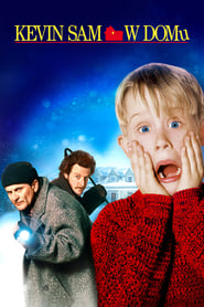 Home Alone streaming sur 66 Voir Film complet