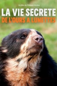 Poster La vie secrète de l’ours à lunettes