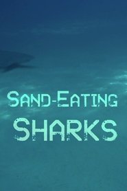 The Sand Eating Shark 2021 Бесплатан неограничен приступ