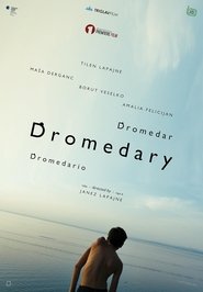 Dromedary (2019)