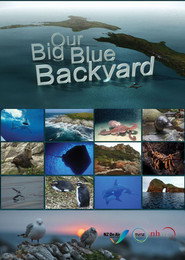 Синя безодня / Our Big Blue Backyard (2014–2016) TMDB poster
