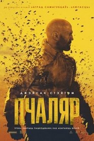 The Beekeeper (2024)