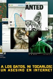A los Gatos, ni Tocarlos: Un Asesino en Internet A los Gatos, ni Tocarlos: Un Asesino en Internet