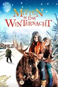 Poster Mitten in der Winternacht