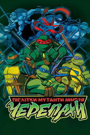 Підлітки-Мутанти Ніндзя-Черепахи (2003)