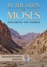 Poster In The Steps Of Moses 2012