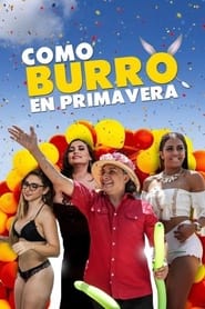 Poster Como burro en primavera