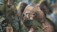 Australia - Down Under upside down