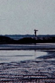 Poster The Light of Early Spring 2021