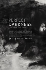 Poster Perfect Darkness