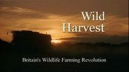 Wild Harvest