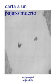 carta a un pájaro muerto